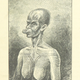 Illustration for article titled 15 of the Weirdest Images in the British Library’s New Digital Trove